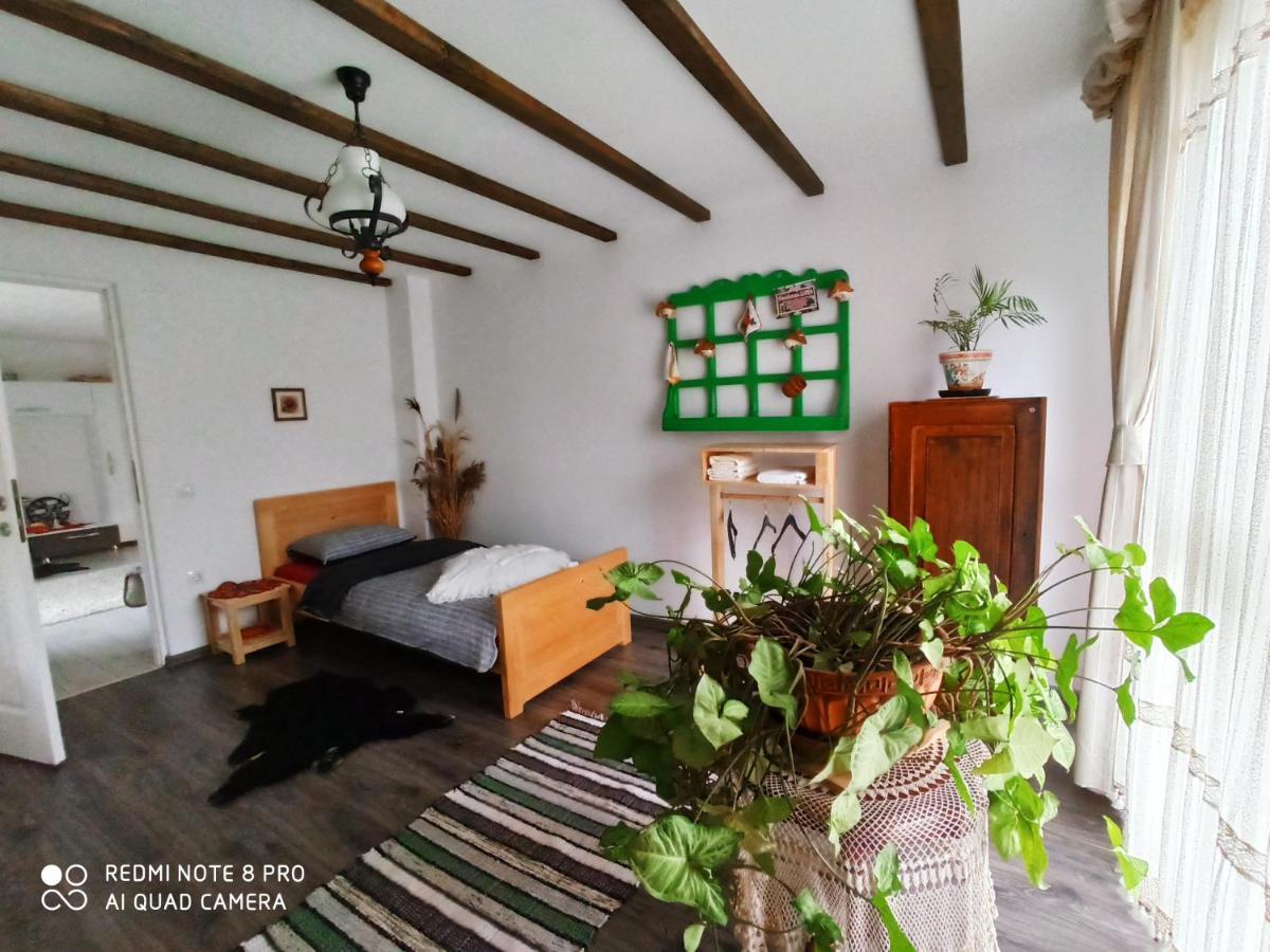 فندق Casa Lucia Damuc المظهر الخارجي الصورة