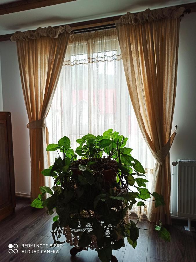 فندق Casa Lucia Damuc المظهر الخارجي الصورة