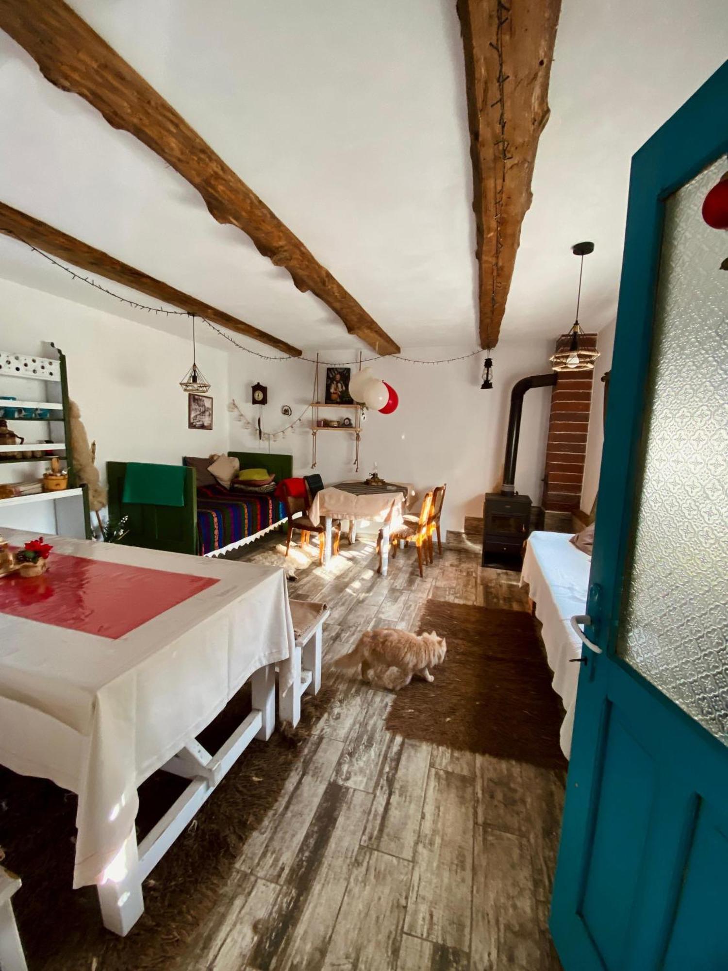 فندق Casa Lucia Damuc المظهر الخارجي الصورة